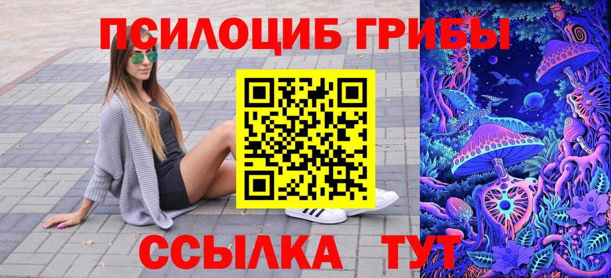 Галлюциногенные грибы мицелий  купить наркотик  Острогожск  Вход с VPN 
